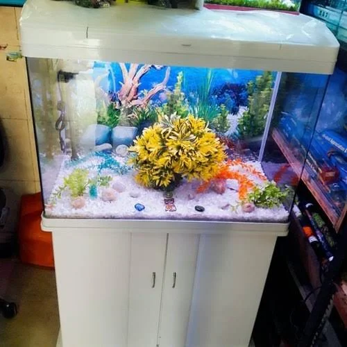 aquarium